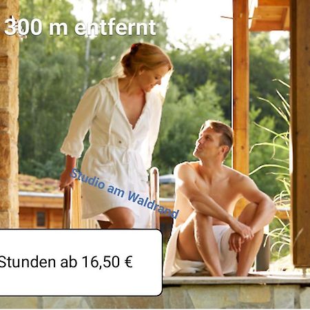 Studio Am Waldrand Wadgassen Dış mekan fotoğraf